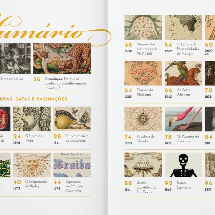 Enciclopédia Do Incrível ao Bizarro - Casa Tipográfica | Diagramação de Livros